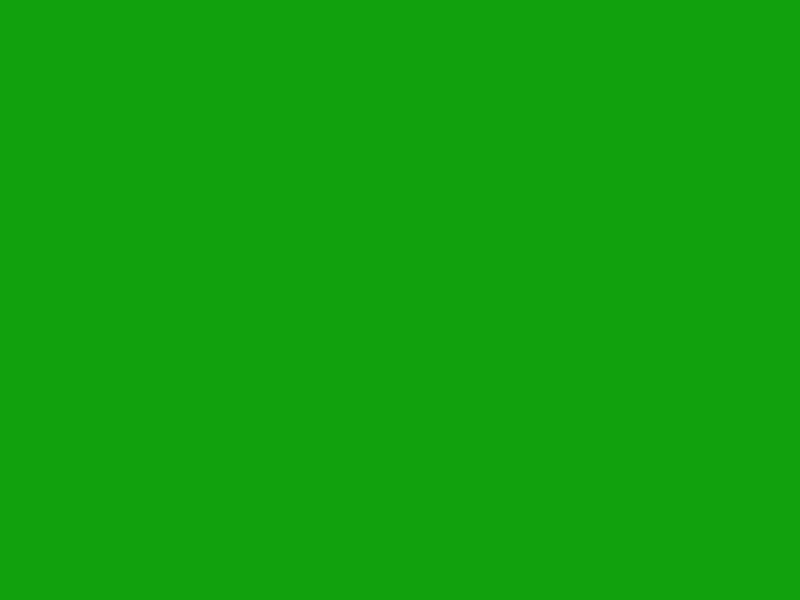 #11A10D color image