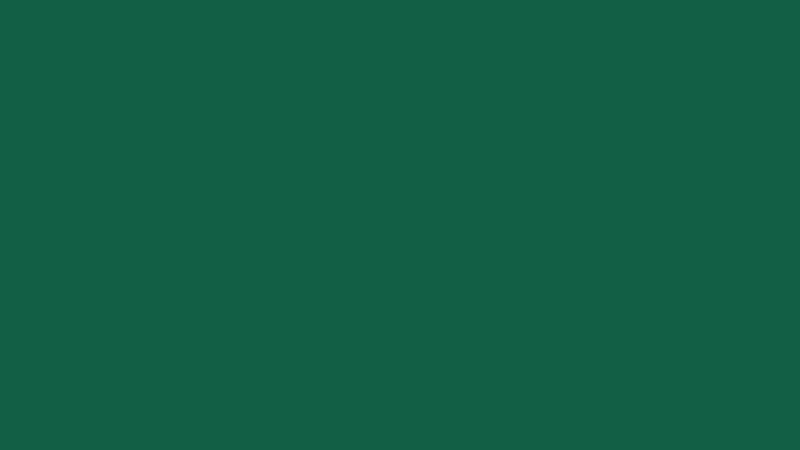 #125F45 color image