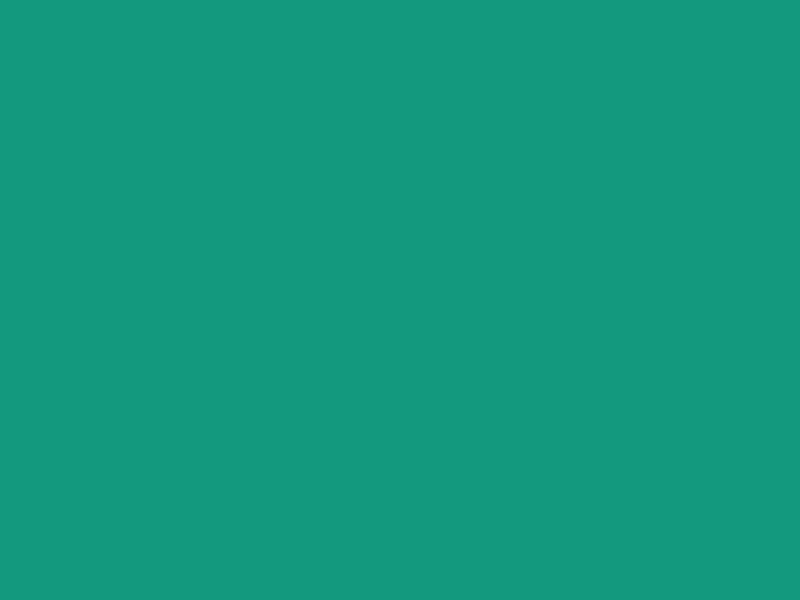 #13997E color image