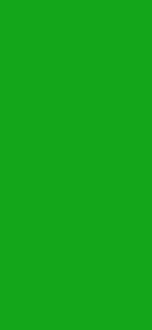 #13A61A color image