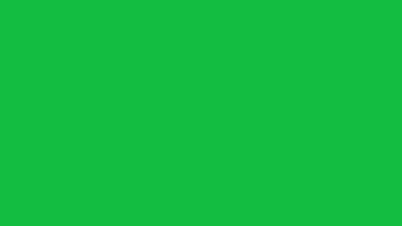 #13BD41 color image