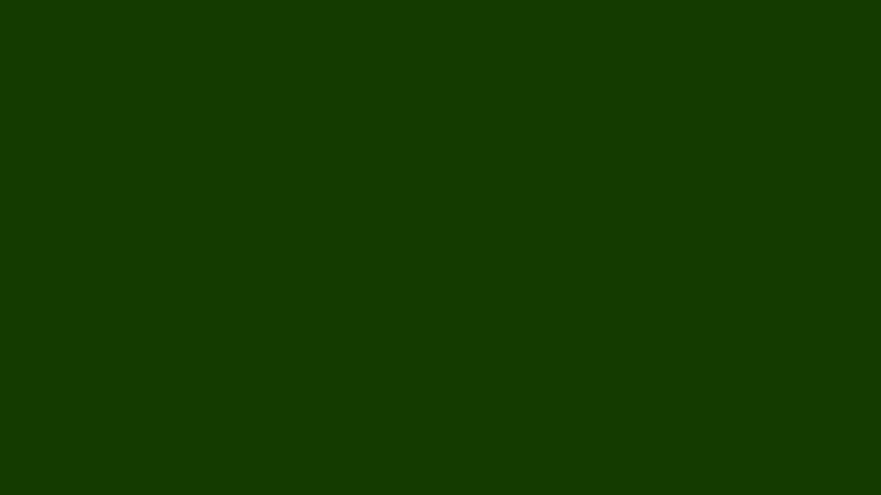 #143B00 color image