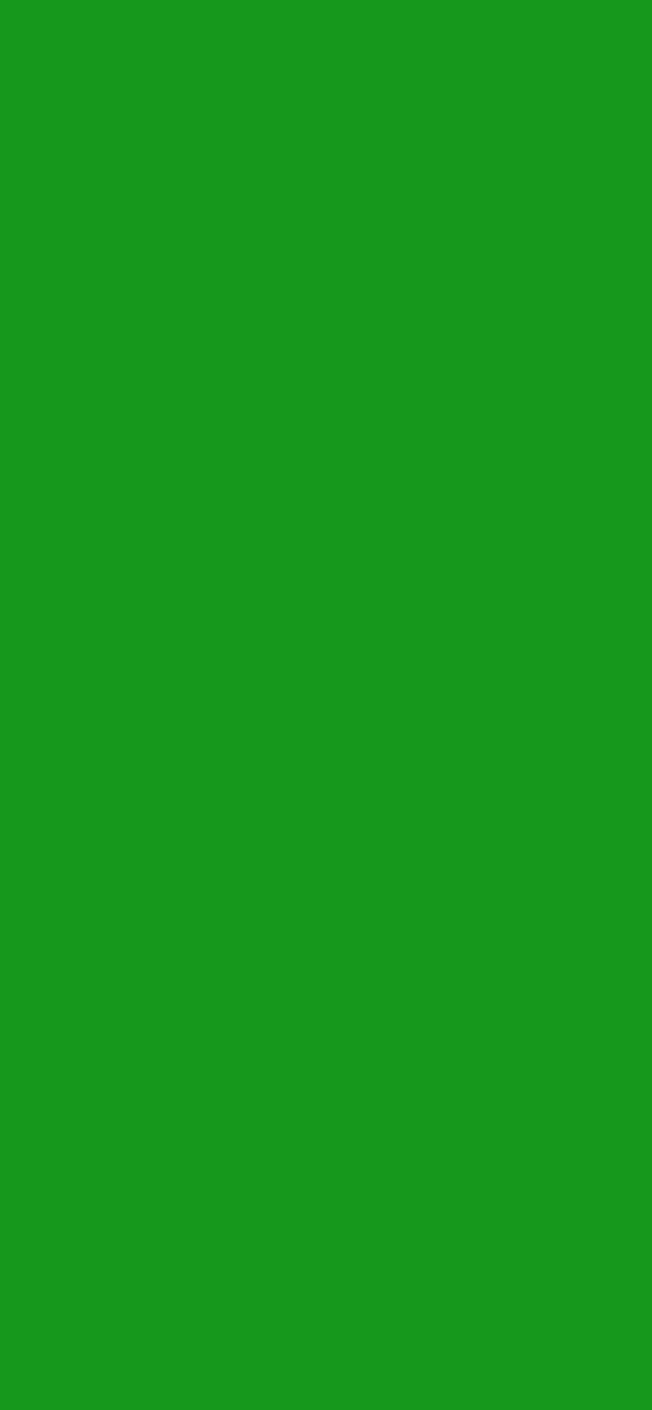 #16981C - Spring Grass Green color image