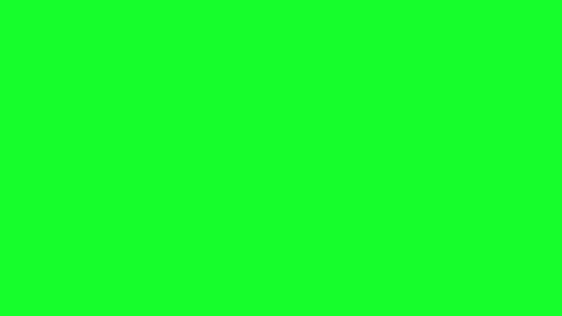 #16FE2C color image