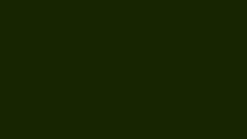 #172500 color image
