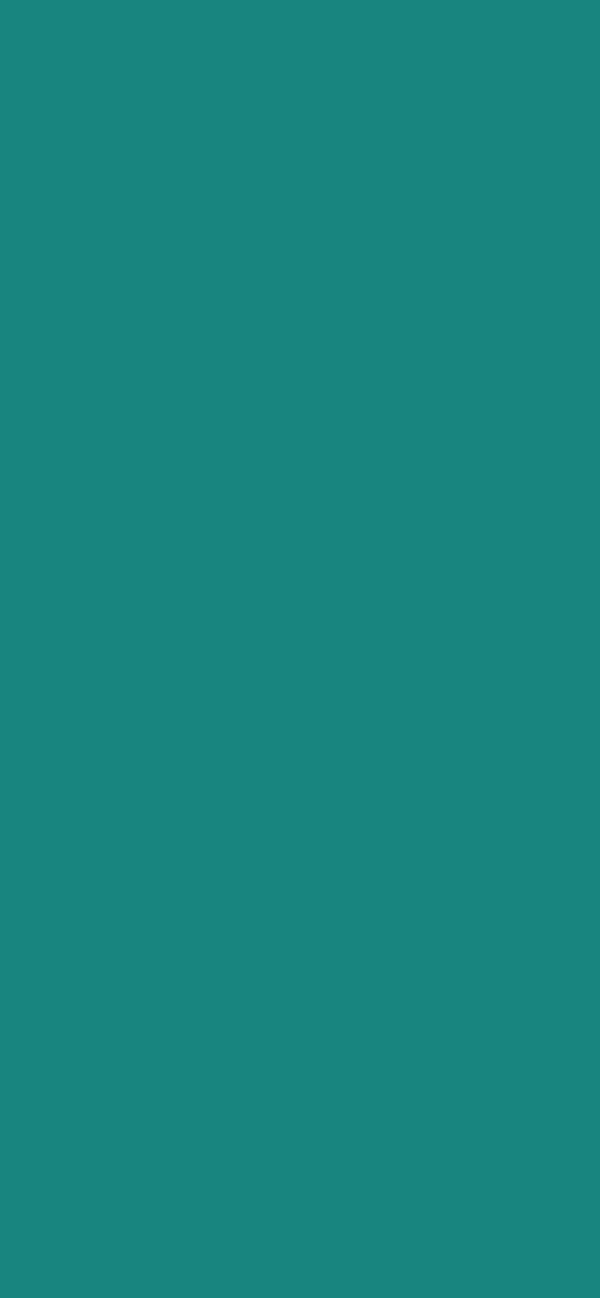 #18857E color image