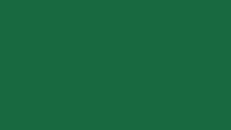 #196B44 color image
