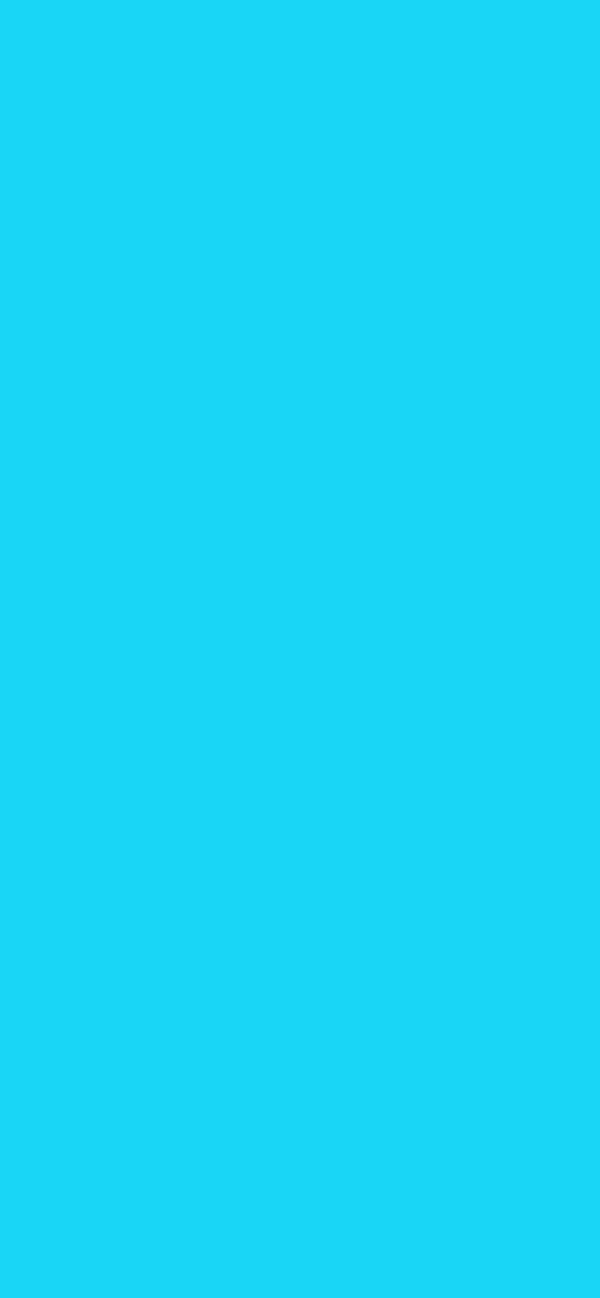 #19D6F7 color image