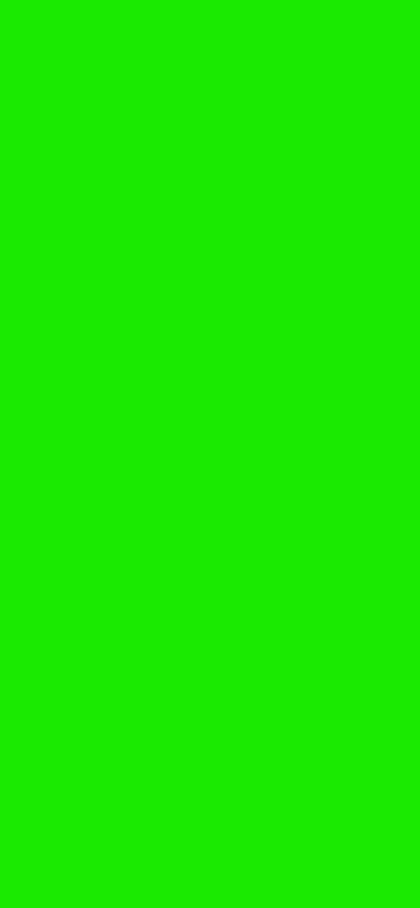 #19E802 color image