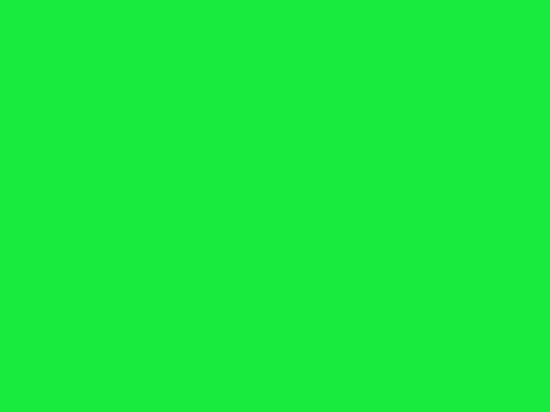 #19EB3E color image