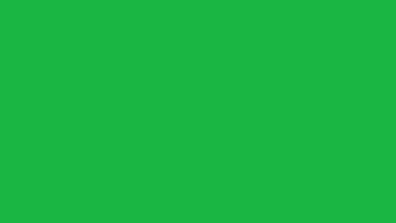 #1AB643 color image