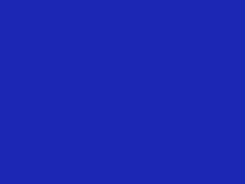 #1C28B3 color image