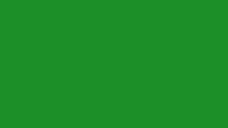 #1C8F29 color image