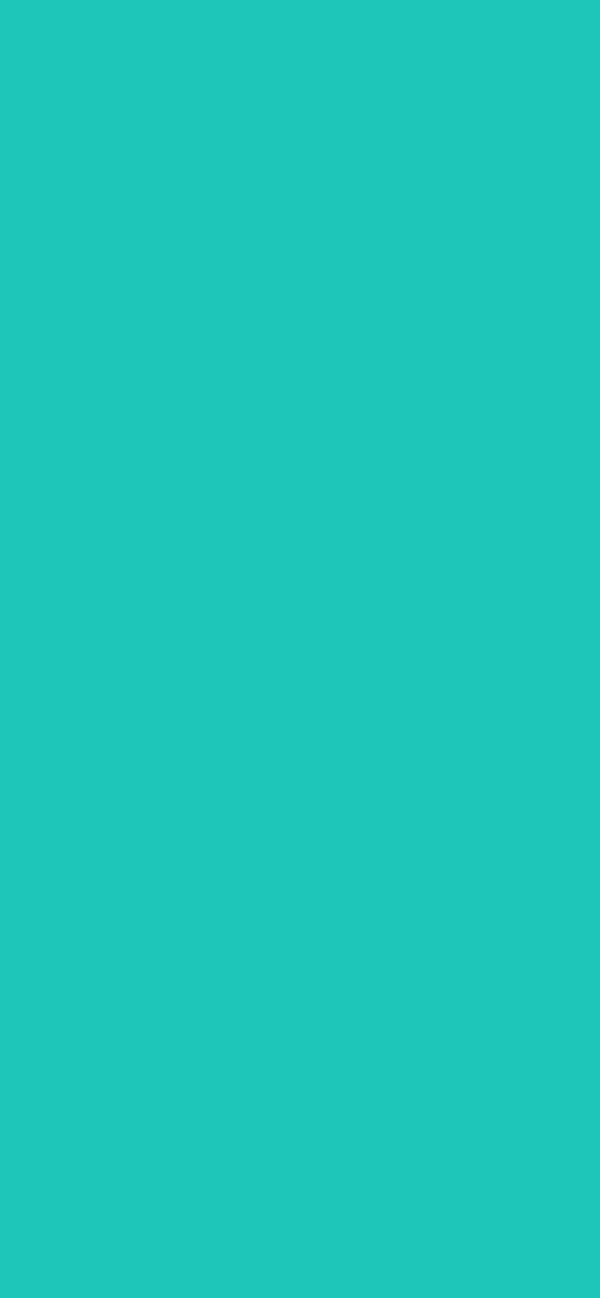 #1EC6BA color image