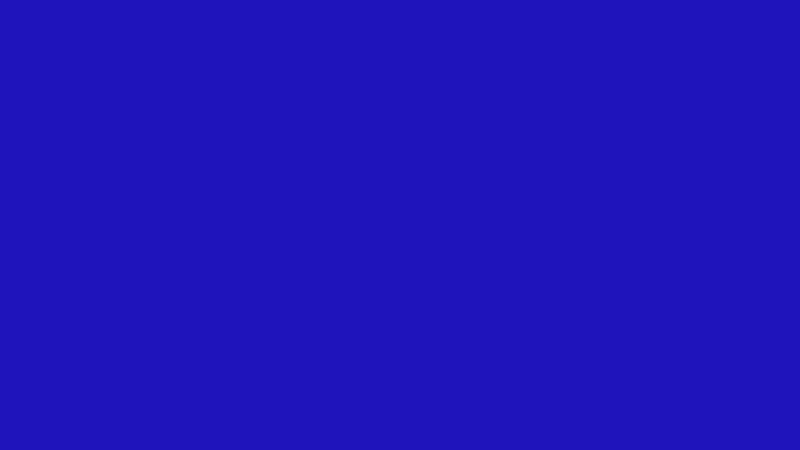 #1F14BB color image