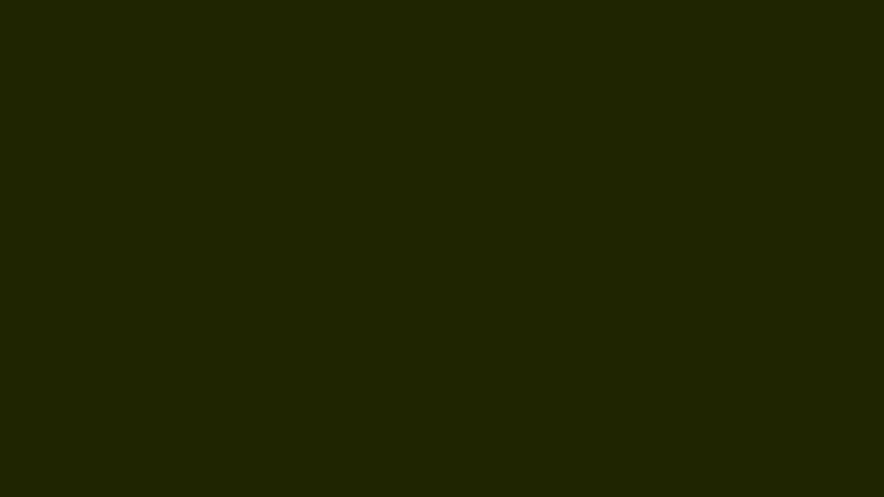 #1F2401 color image