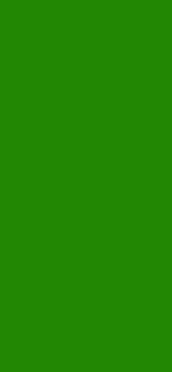 #1F8702 color image