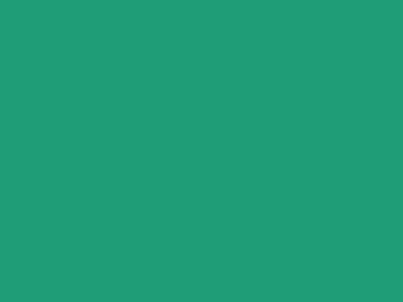 #1F9D77 color image