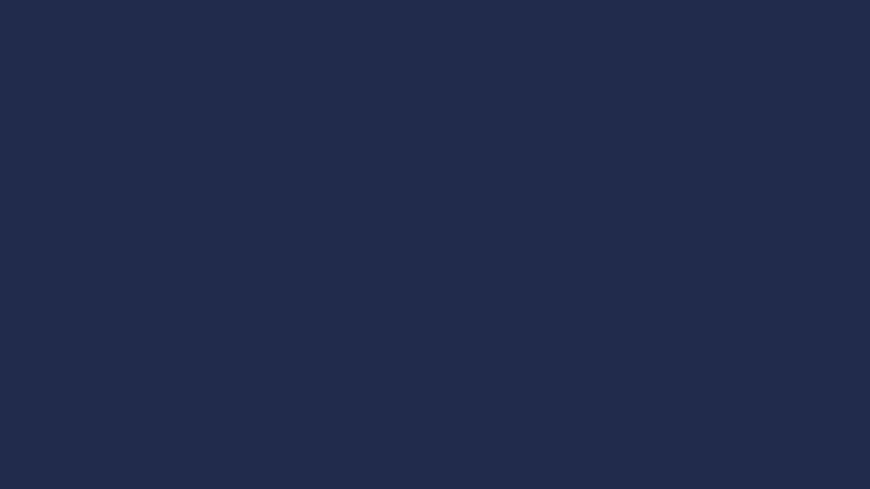 #212B4C color image