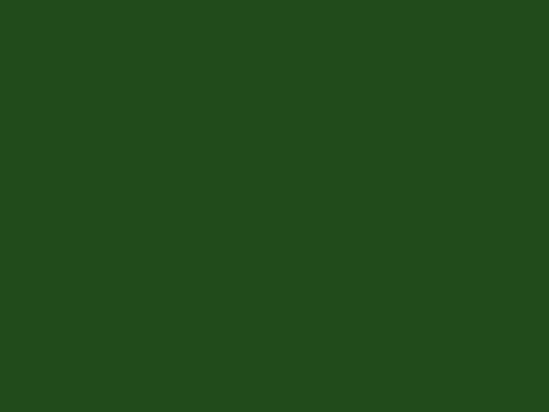 #214B1B color image