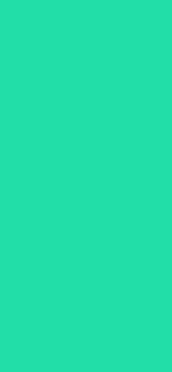 #22DEA8 color image