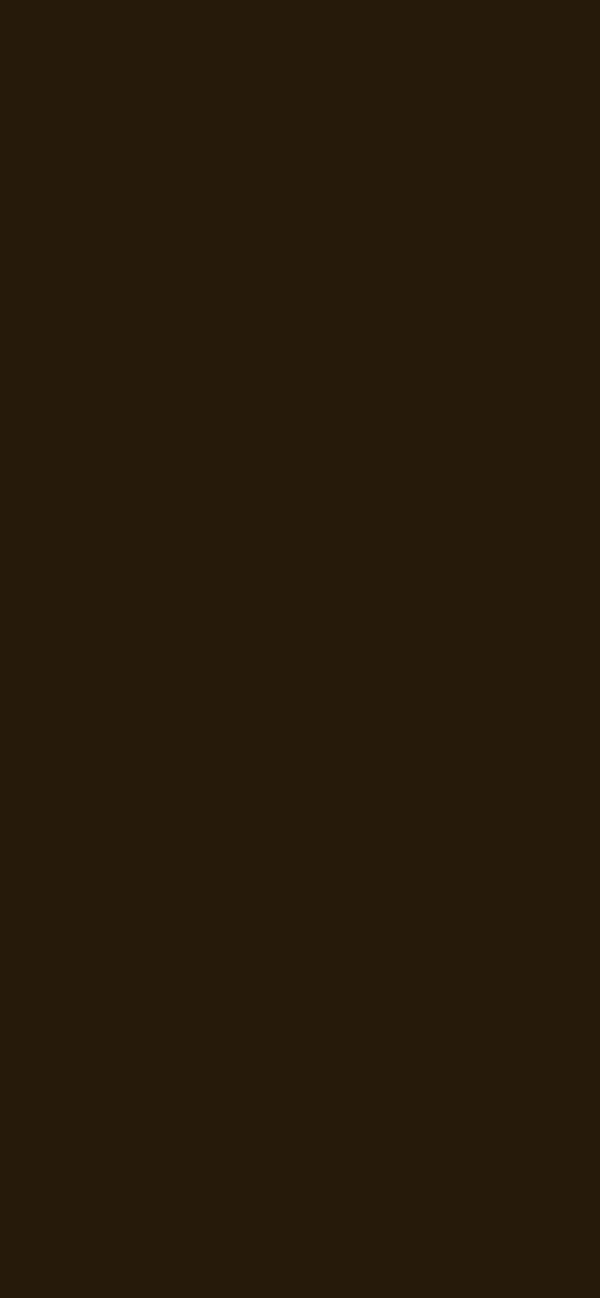 #231A0B color image