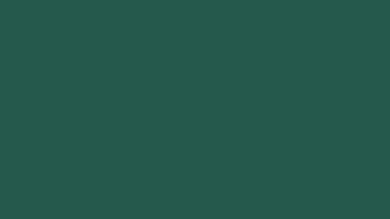 #24594C color image