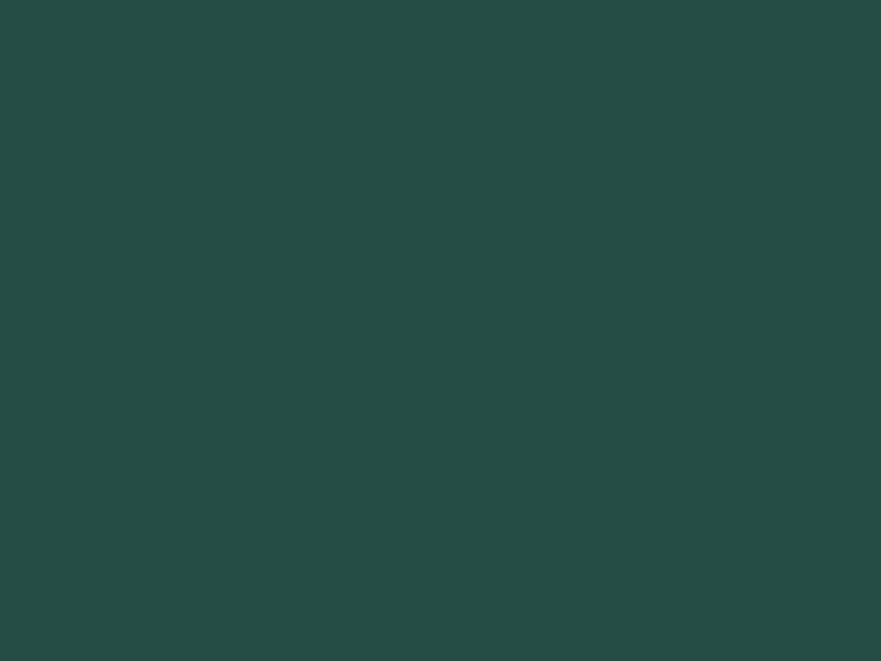 #254C45 color image