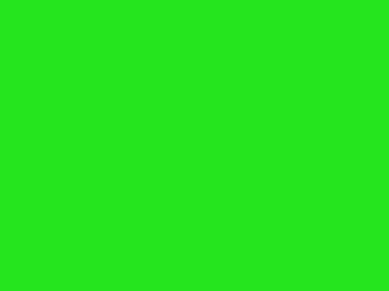 #25E61E color image