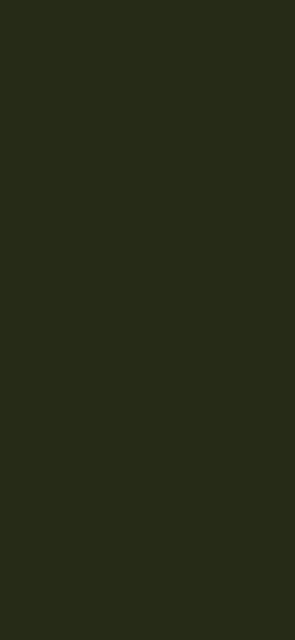 #262B18 color image