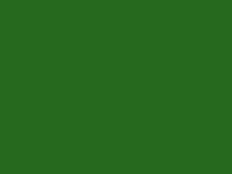 #26691E color image