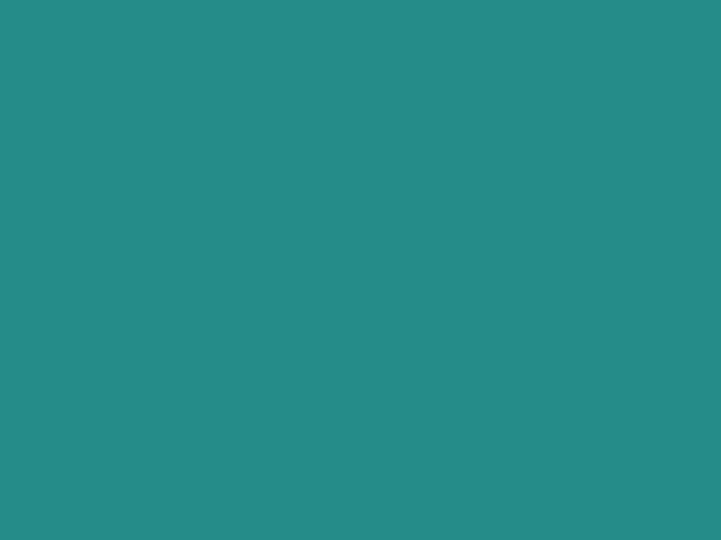 #268C8A color image