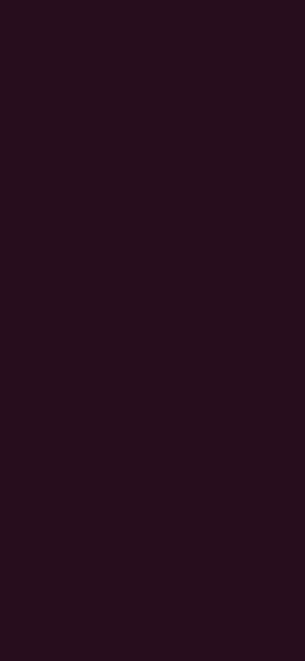 #270D1D color image