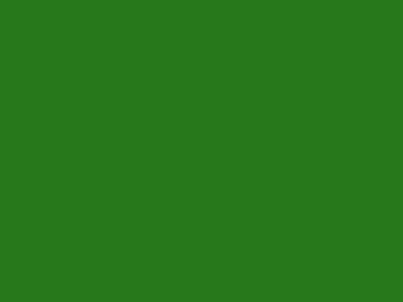#27791D color image