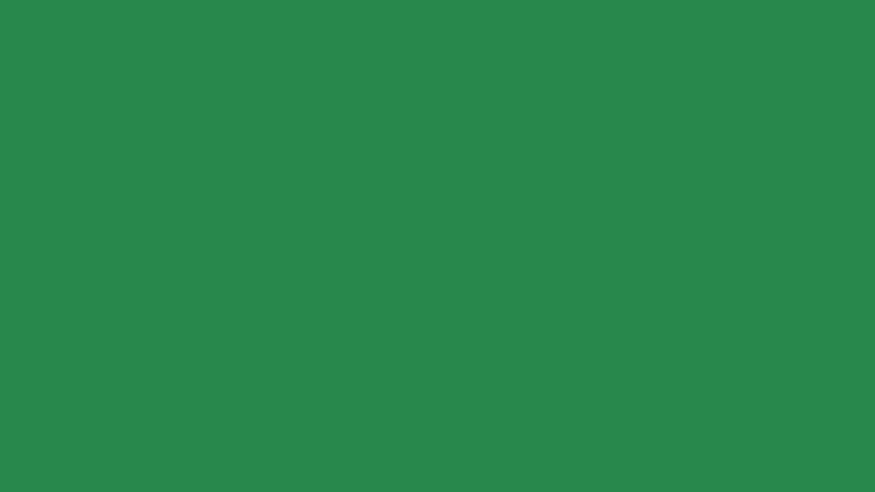 #28884C color image