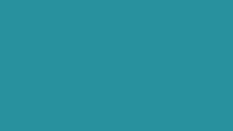 #28919E color image