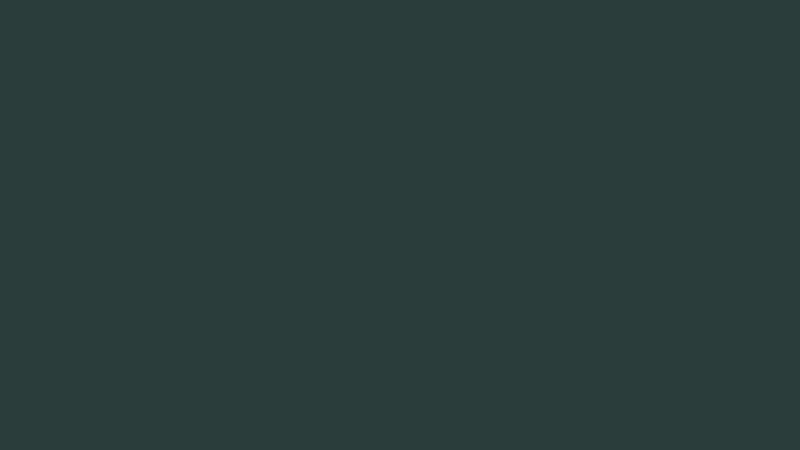 #2A3C39 color image