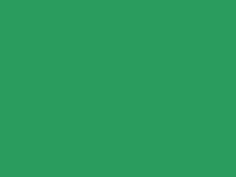 #2A9C5E color image