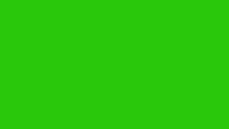 #2AC80B color image