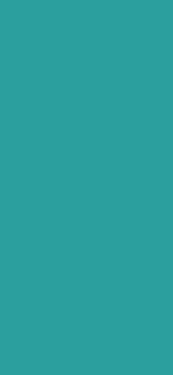 #2B9F9E color image