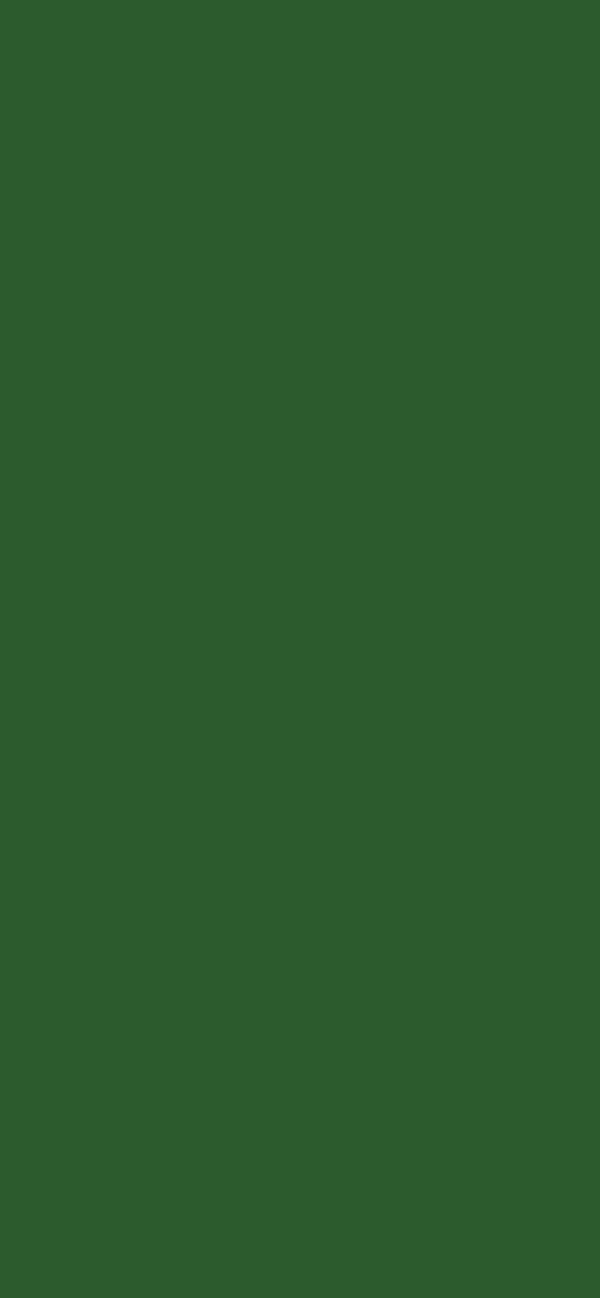 #2C5B2D color image