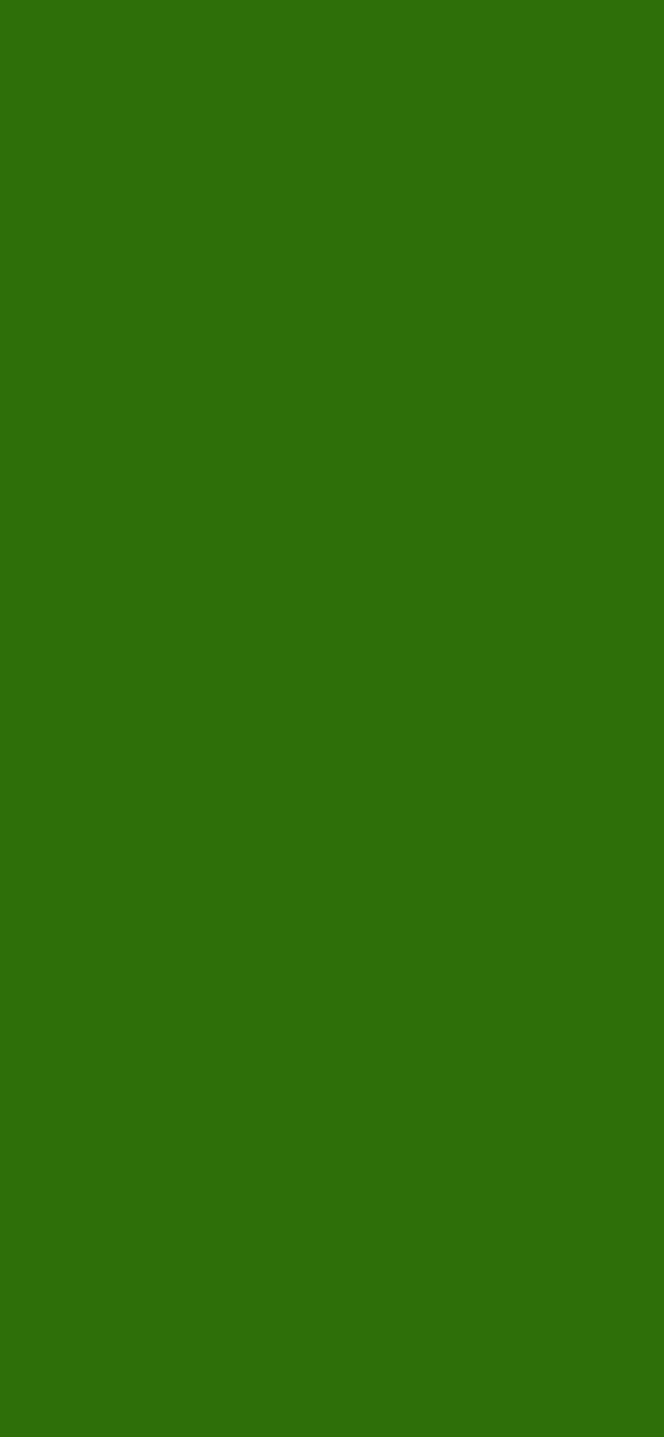 #2E6F0A color image