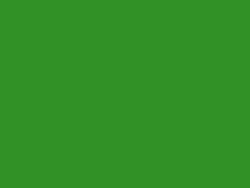 #2F9123 color image