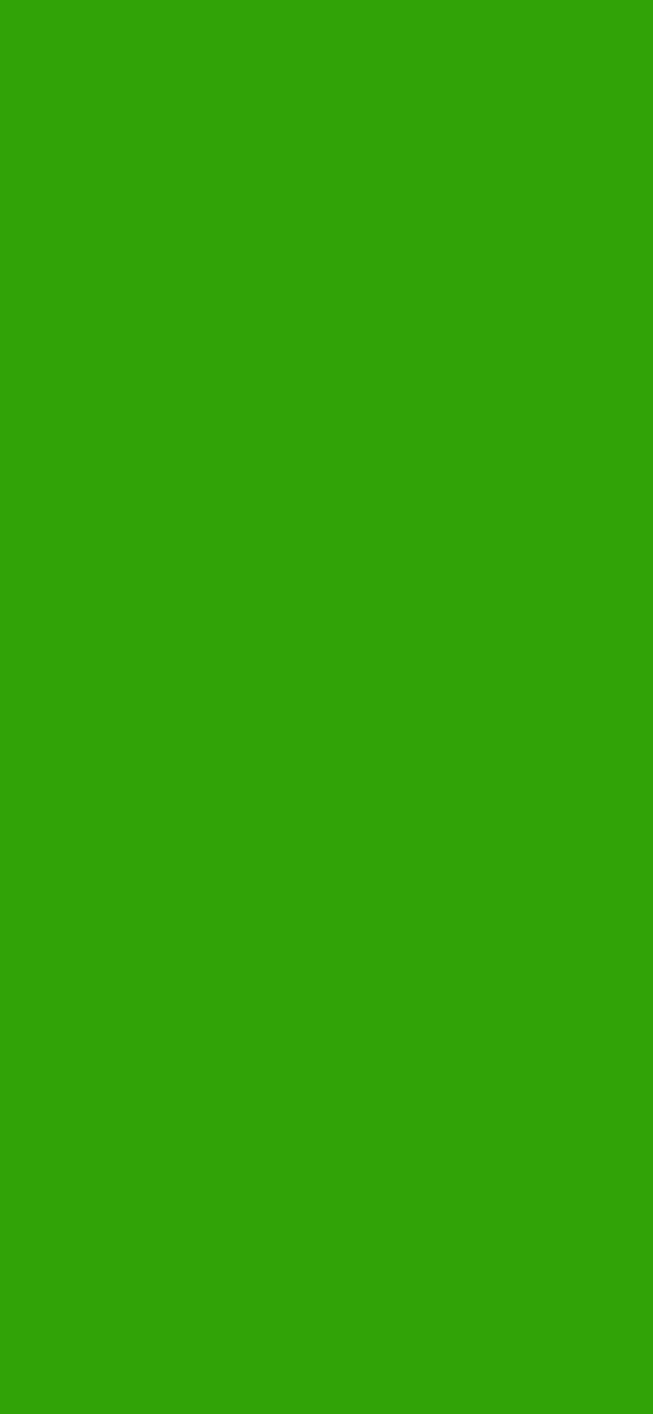 #31A307 color image