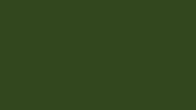 #32471E color image