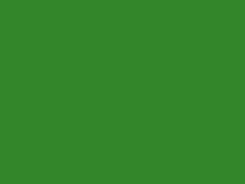 #33862A color image