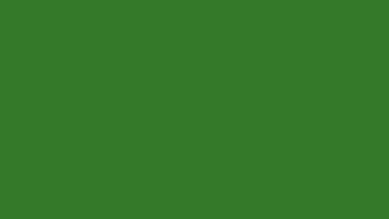 #34792A color image