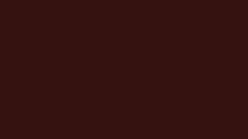#351210 color image