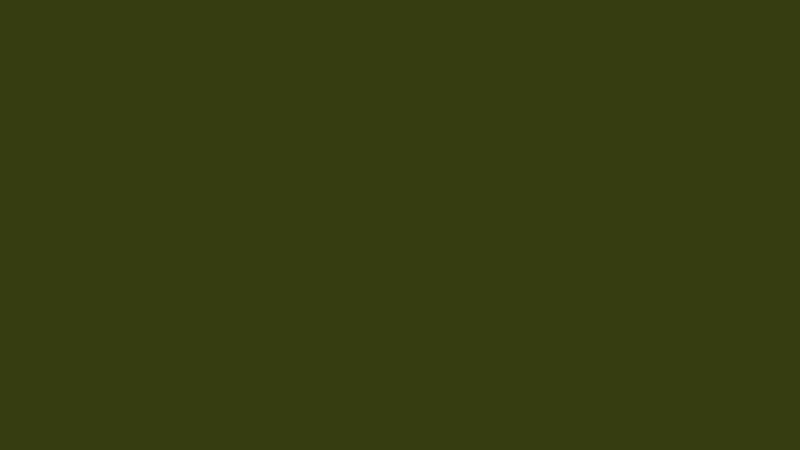 #363B10 color image