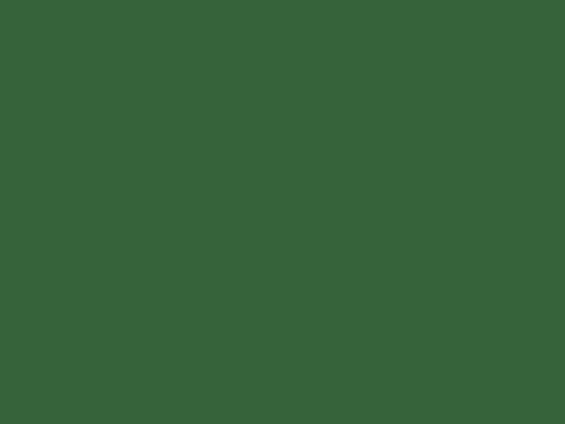 #36633A color image